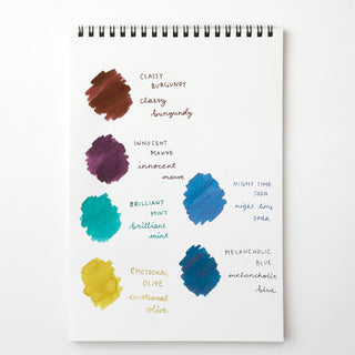 Guitar Taisho Roman Haikara Ink line up - Shibuya Stationery