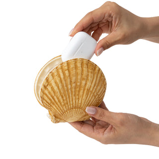 Wingcrown Mini Pouch - Scallops - Shibuya Stationery Store