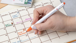 Crafting the Ideal Bullet Journal Setup