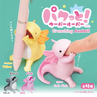 Gacha - Crunching Axolotl