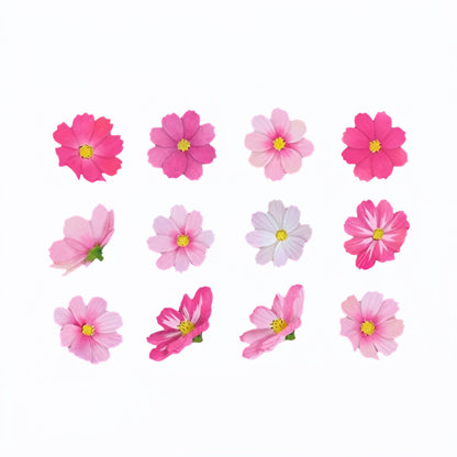 bande Masking Roll Sticker Washi Tapes - Cosmos Flower - 200 stickers