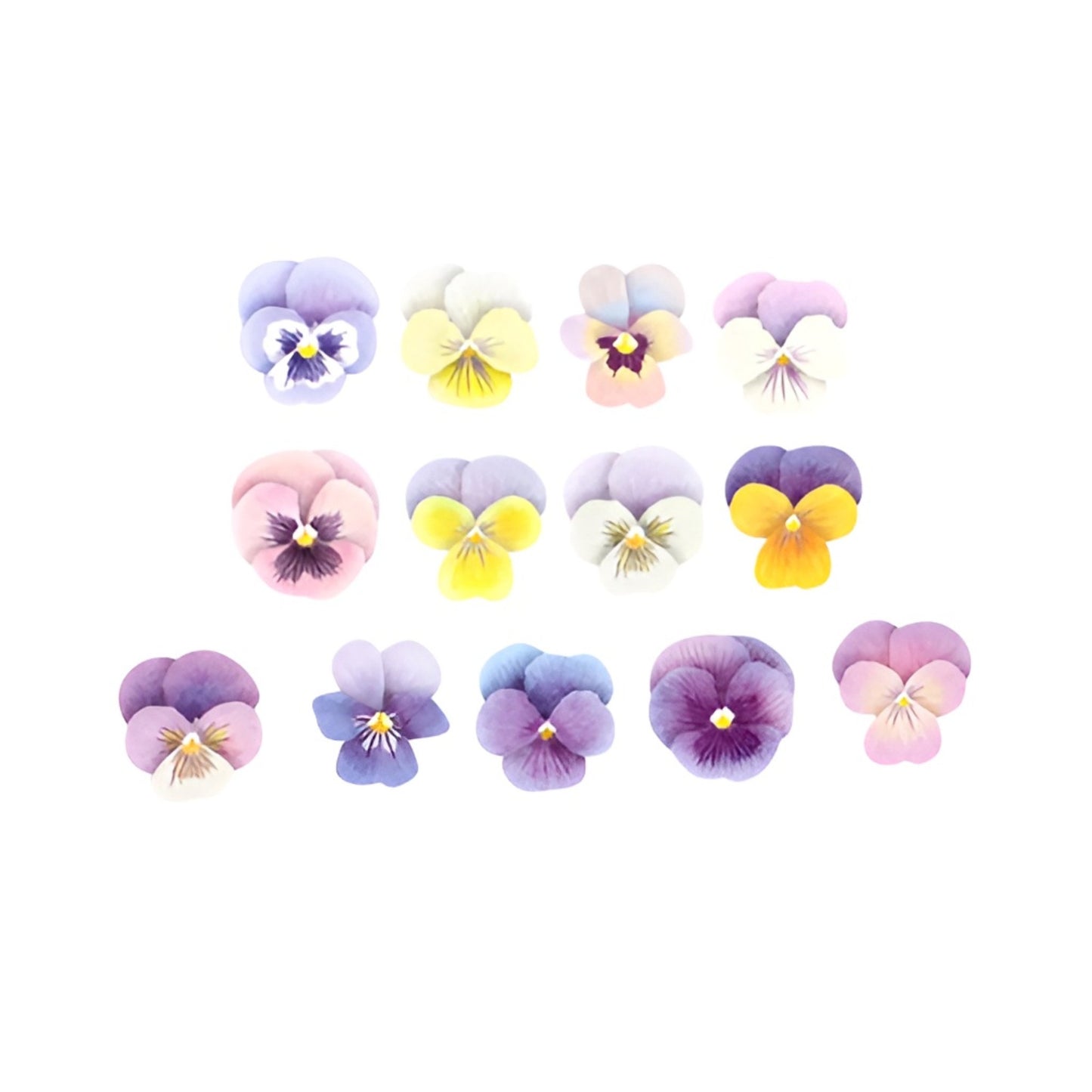 bande Masking Roll Sticker Washi Tapes - Viola - 200 stickers