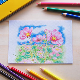 Drawings made with Tombow NQ Series Color Pencils - 36 Color Set - Shibuya Stationery